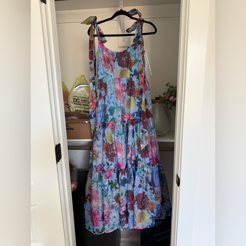 Francesca’s Alahna Dress